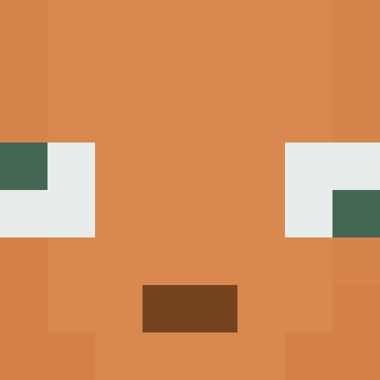 wiredframe's skin