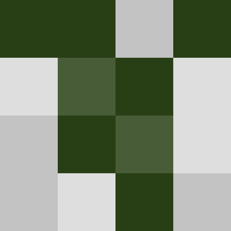 Ryuzln's skin