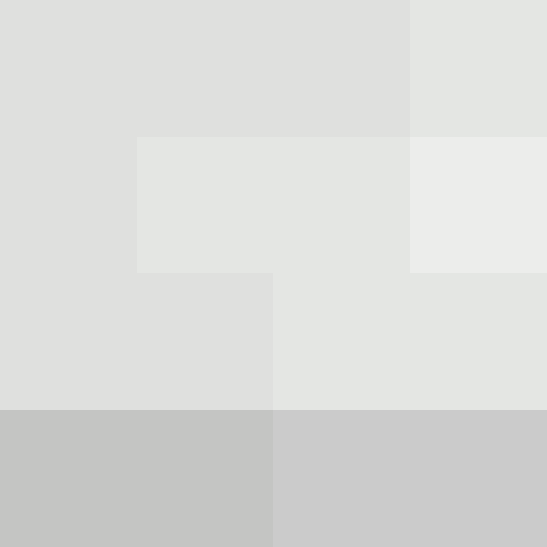 CeilingBird's skin