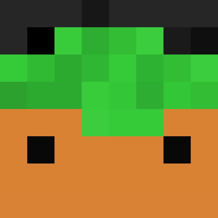 TheCuriousMiner's skin