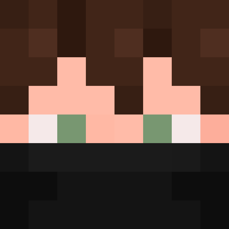 8aca680b22461340's skin