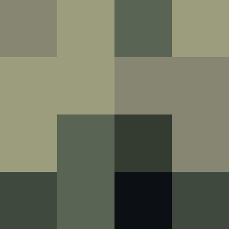 acin5's skin