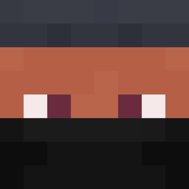 xX_No_Income_Xx's skin