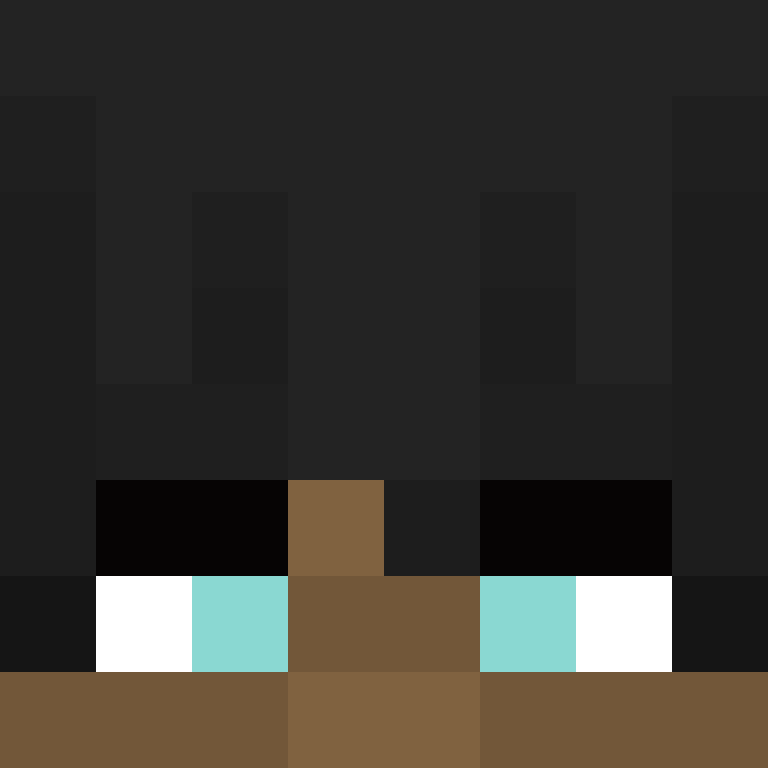 8aca680b22461340's skin