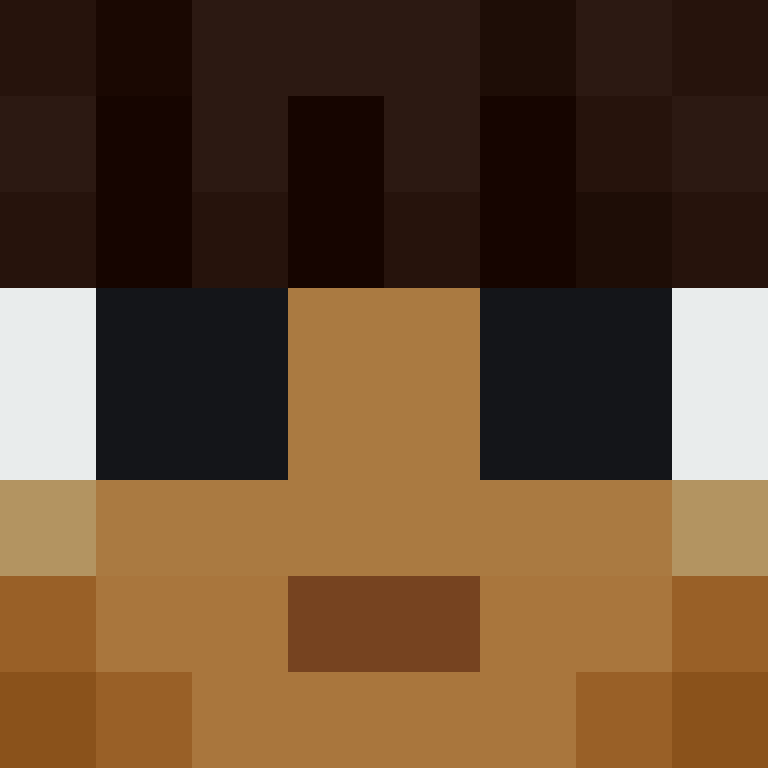 BradBot_2's skin