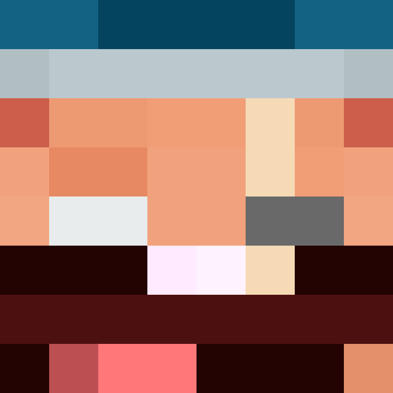 MHF_Mineskin's skin