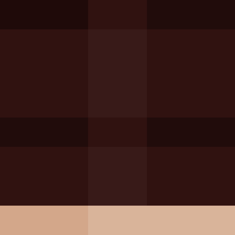 TheCuriousMiner's skin