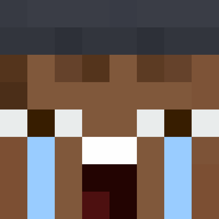 MHF_Mineskin's skin