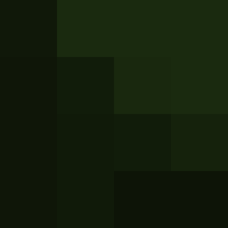xentany's skin