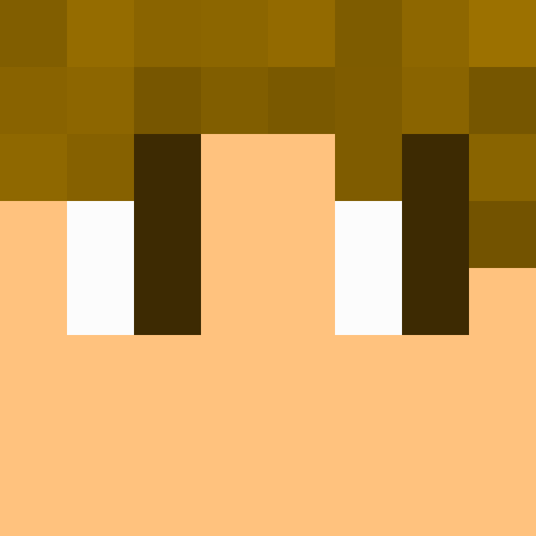 wiredframe's skin
