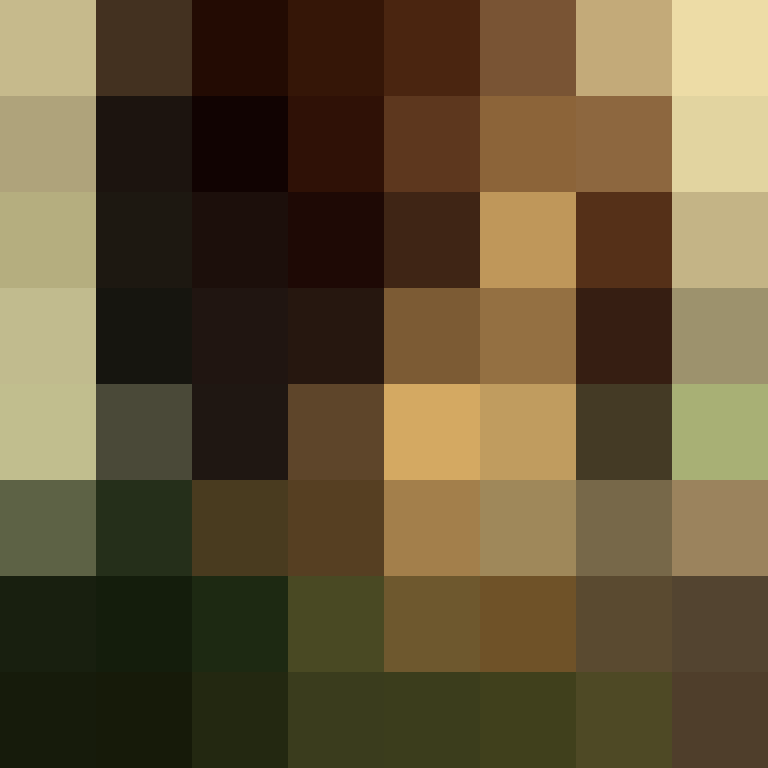 acin5's skin