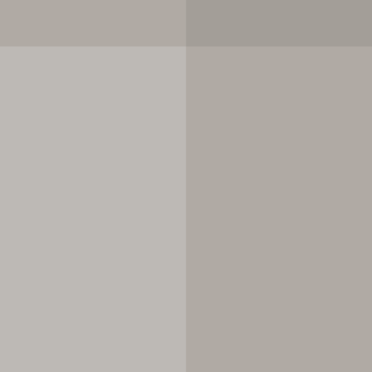 DonaldTrump42's skin