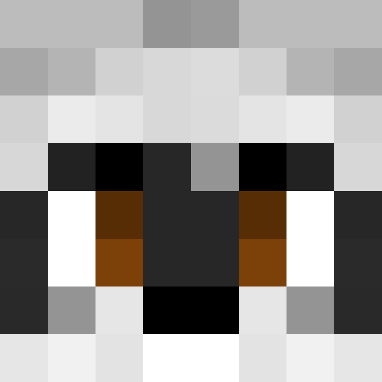 AircraftCarrier5's skin