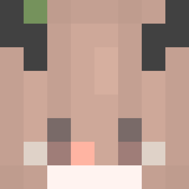 8aca680b22461340's skin