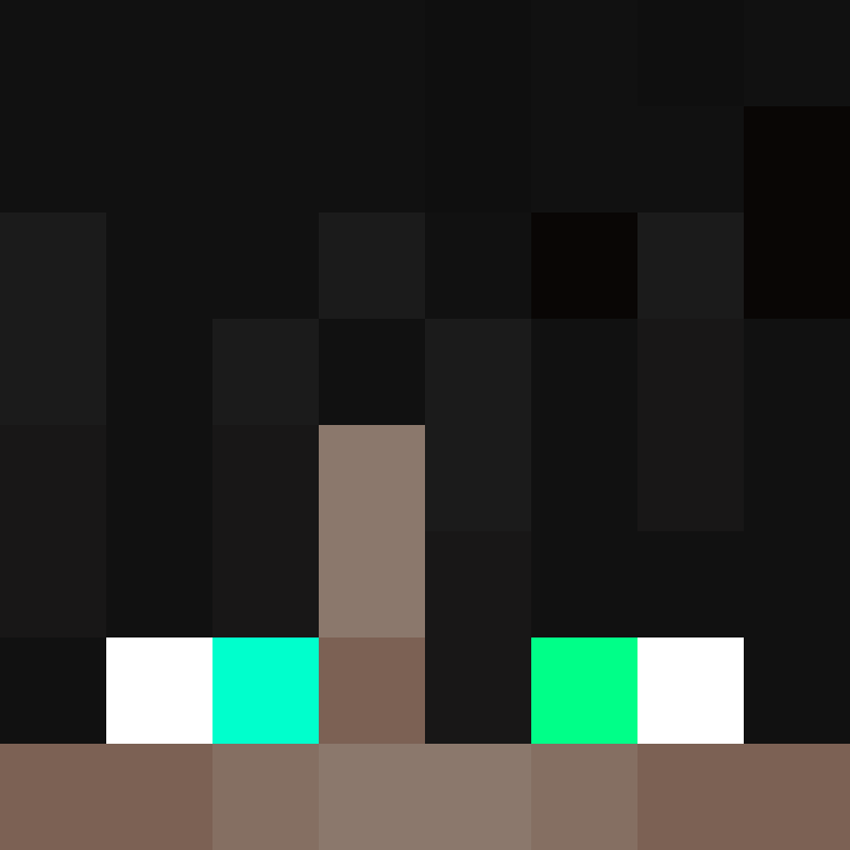 h4yl33's skin
