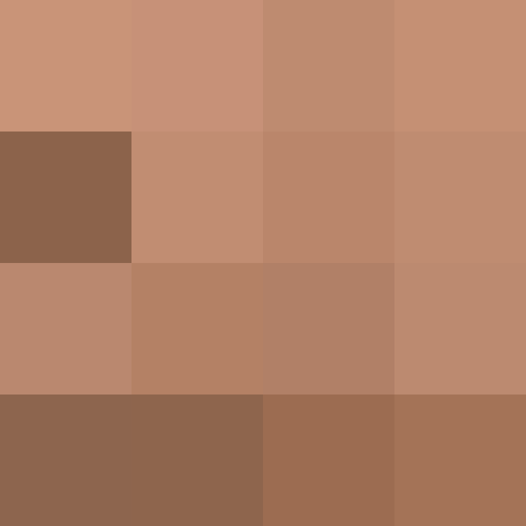 CoastlineCrea's skin