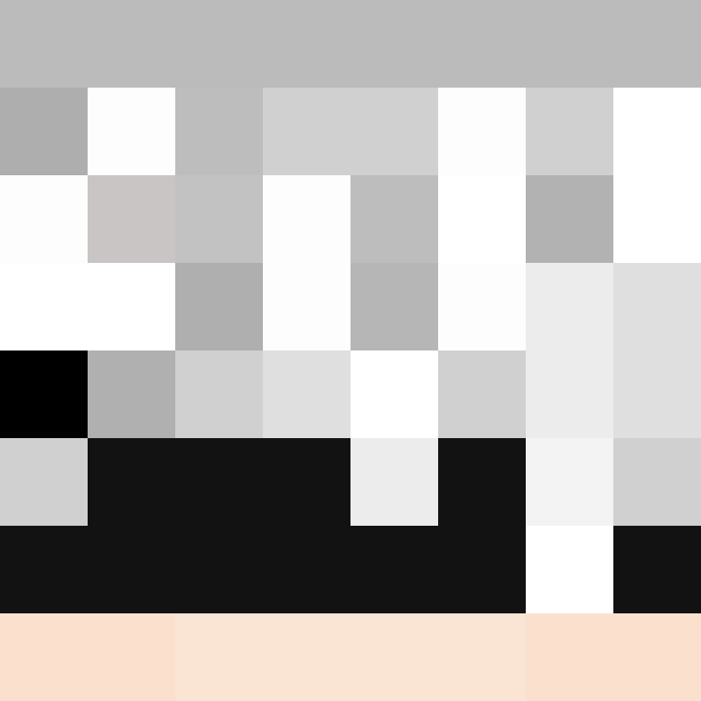 CeilingBird's skin