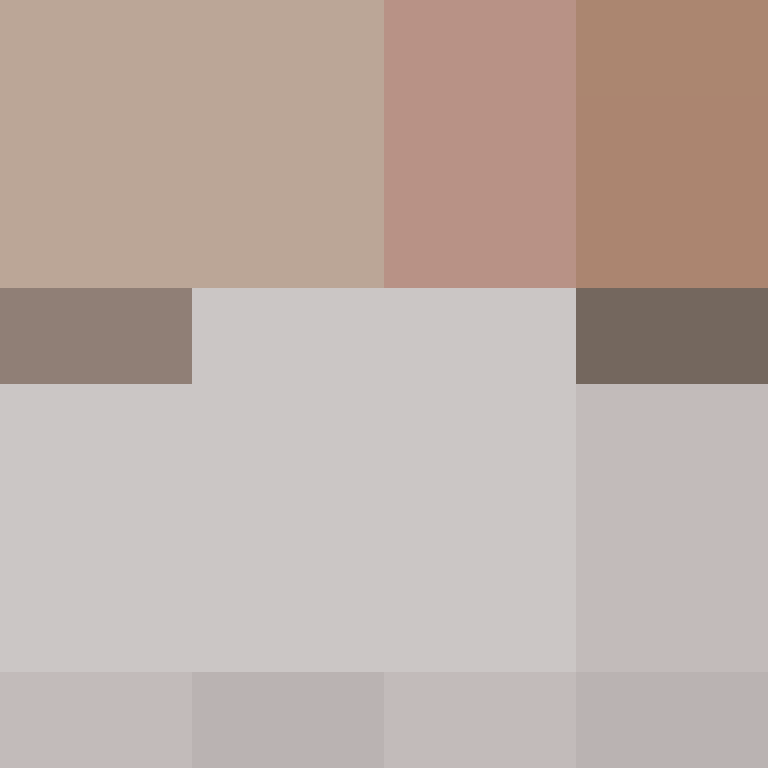 PtakopyskCZ's skin