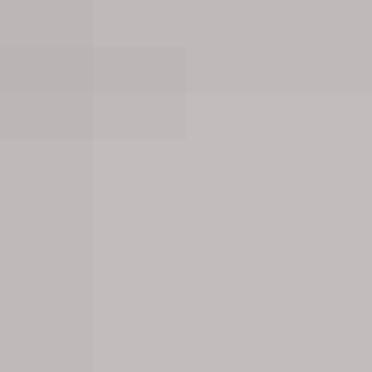 GeyserMC's skin