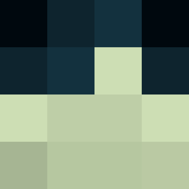 xentany's skin