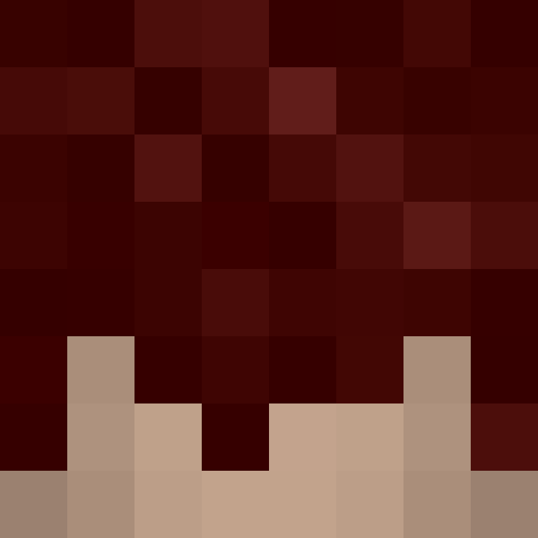 deminecrafterlol's skin