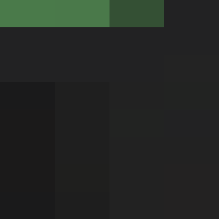 41414141h's skin