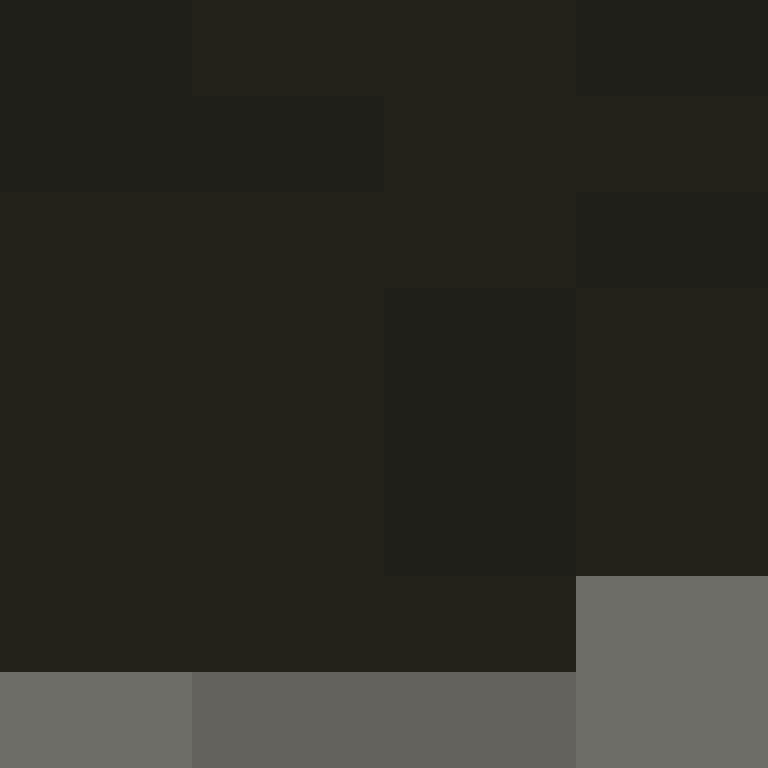 Cartizoll's skin