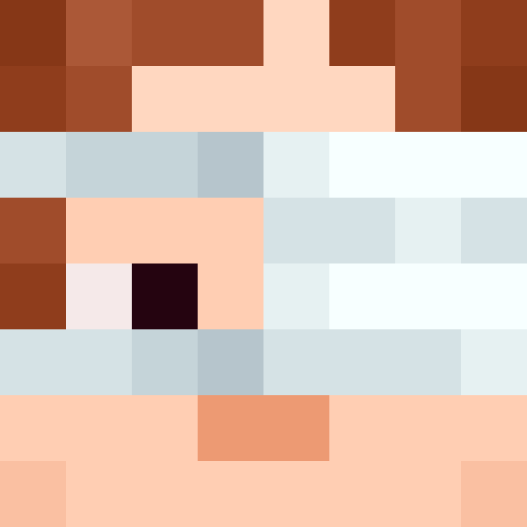 MHF_Mineskin's skin