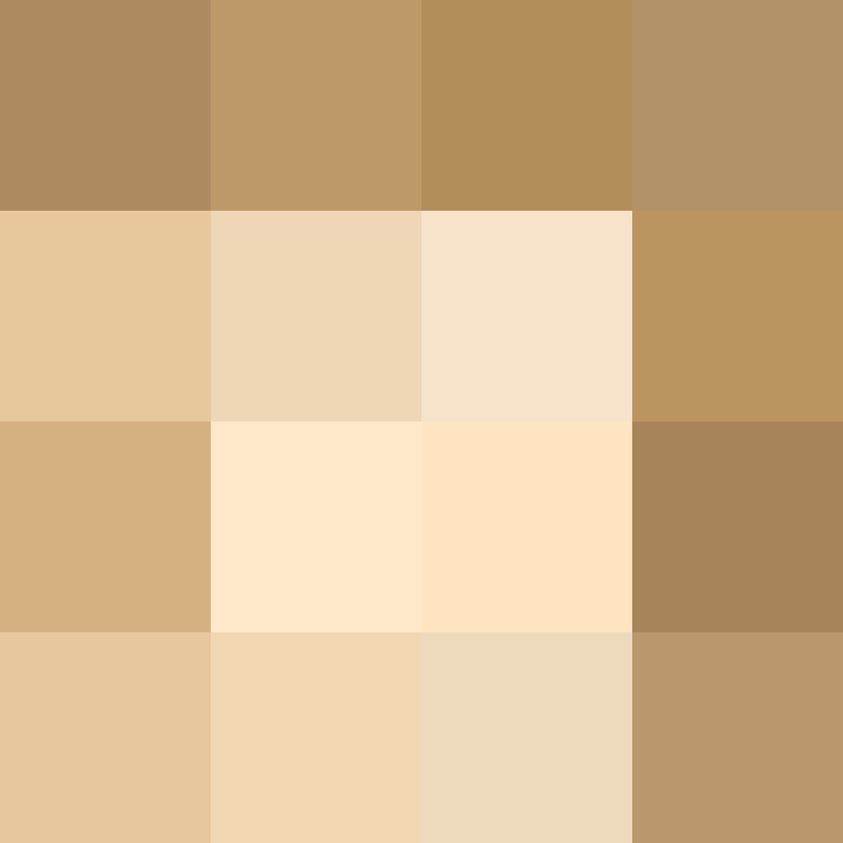 acin5's skin