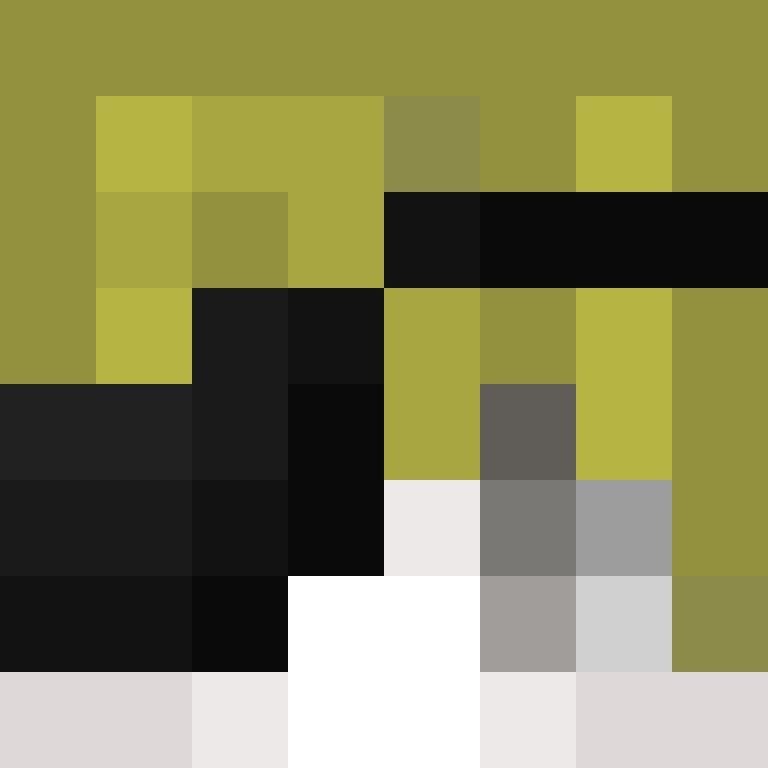 AutoSkin's skin