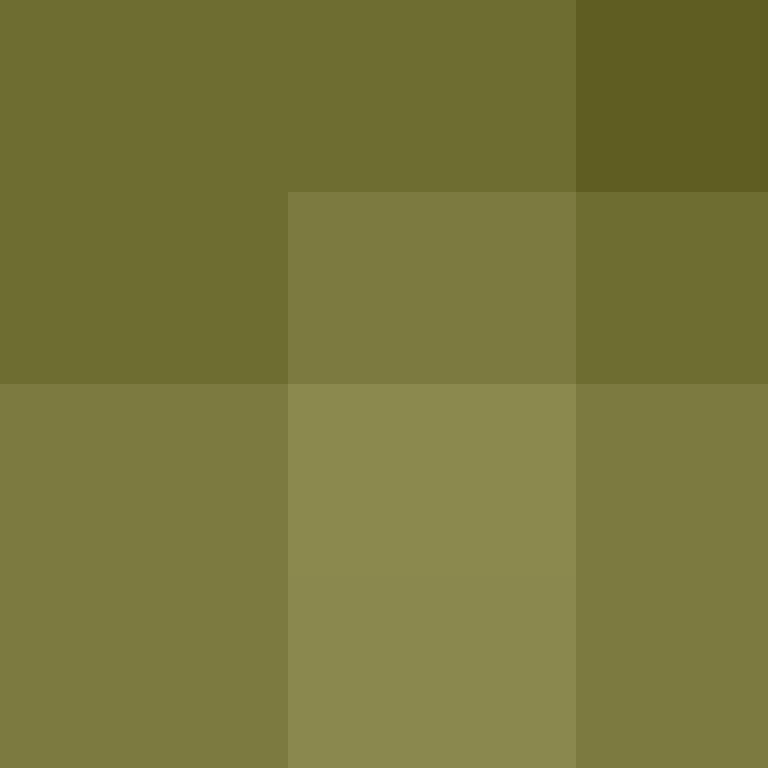 ShakaYami's skin
