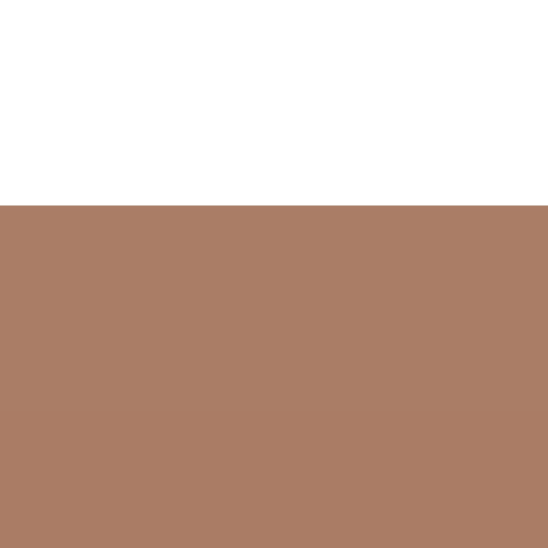 CeilingBird's skin