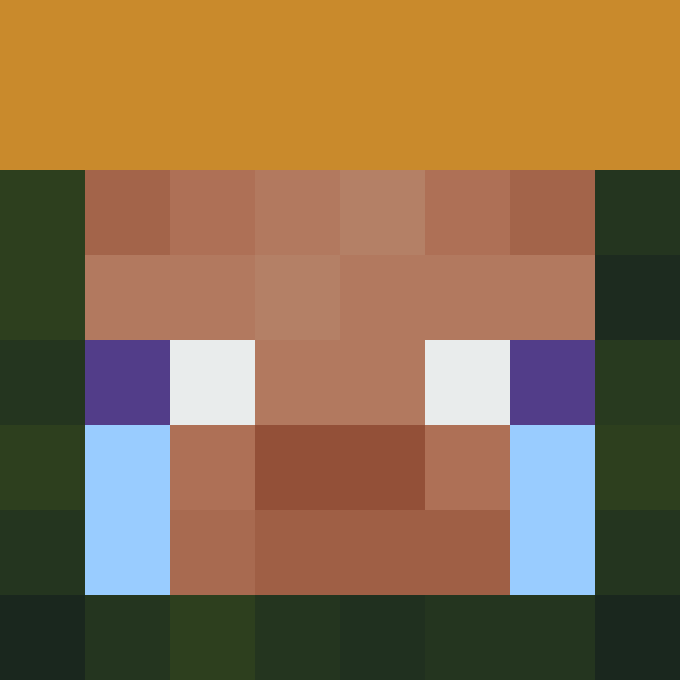 h4yl33's skin