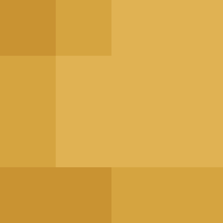 CeilingBird's skin