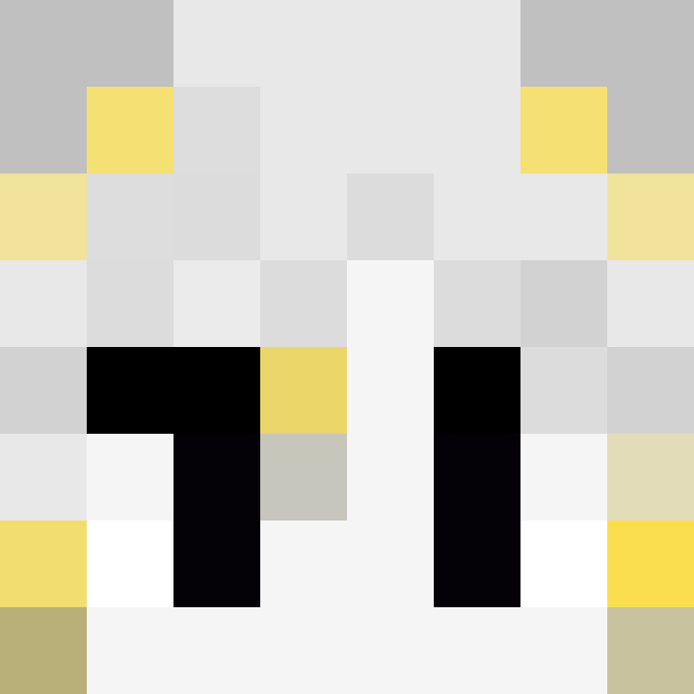 wiredframe's skin
