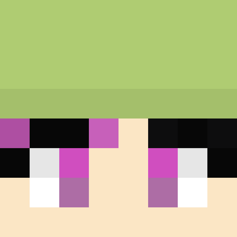 CeilingBird's skin