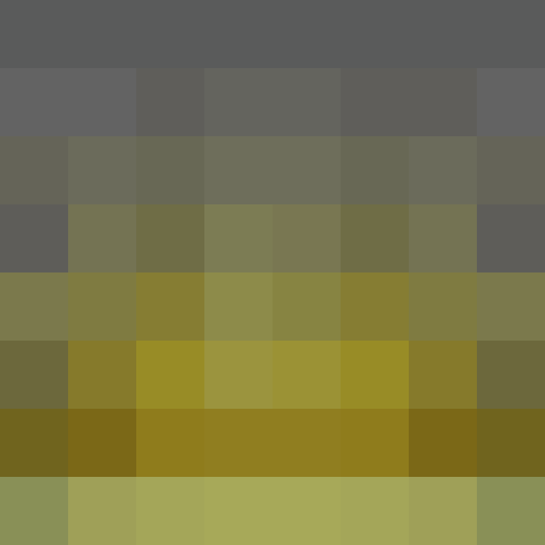 Dashmiel's skin