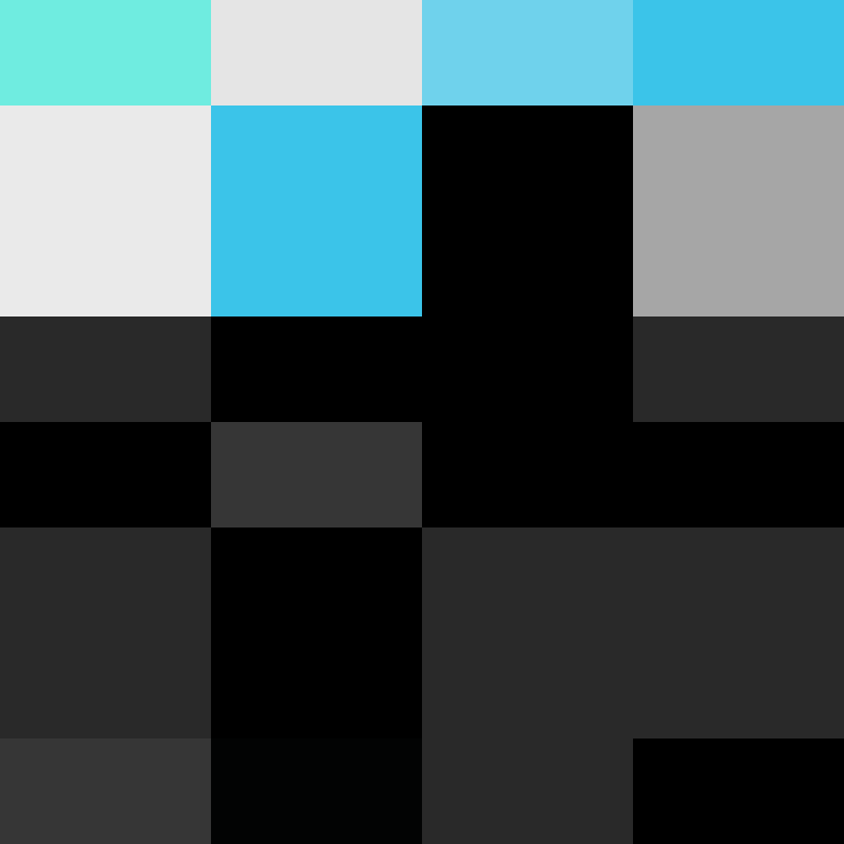 AutoSkin's skin