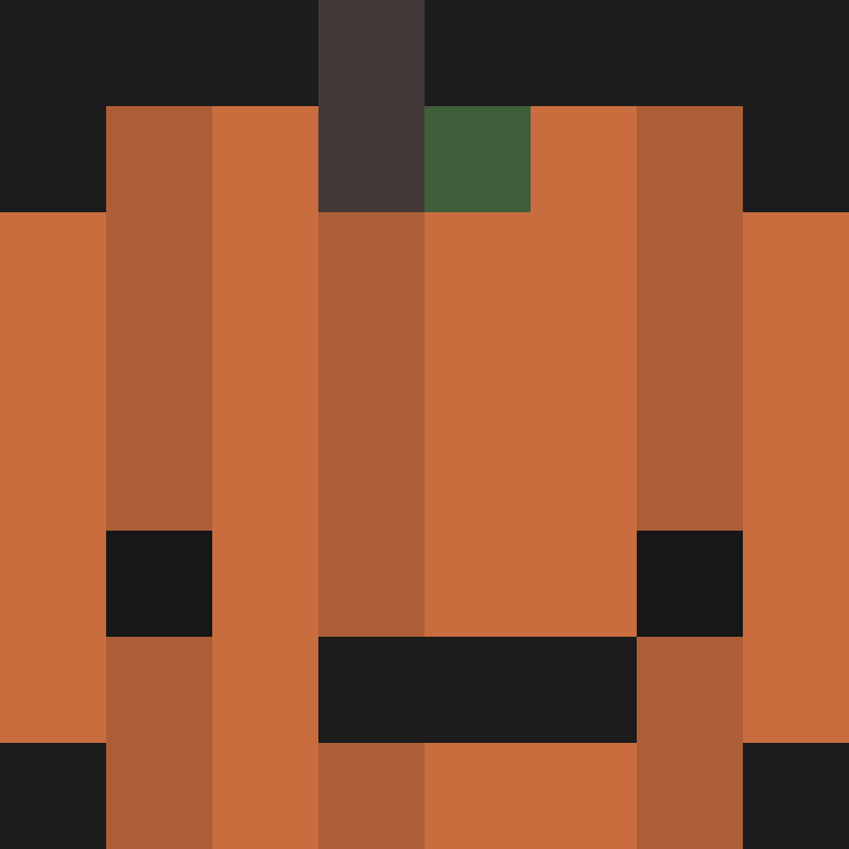8aca680b22461340's skin