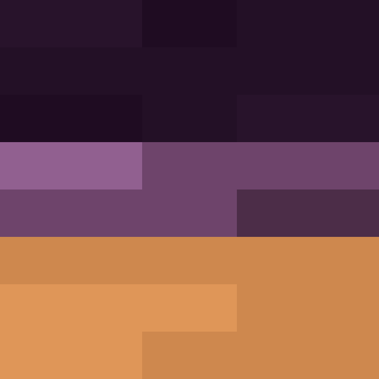 acin5's skin