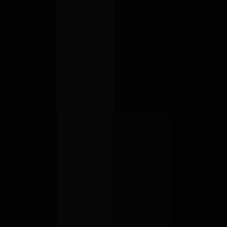 BradBot_2's skin