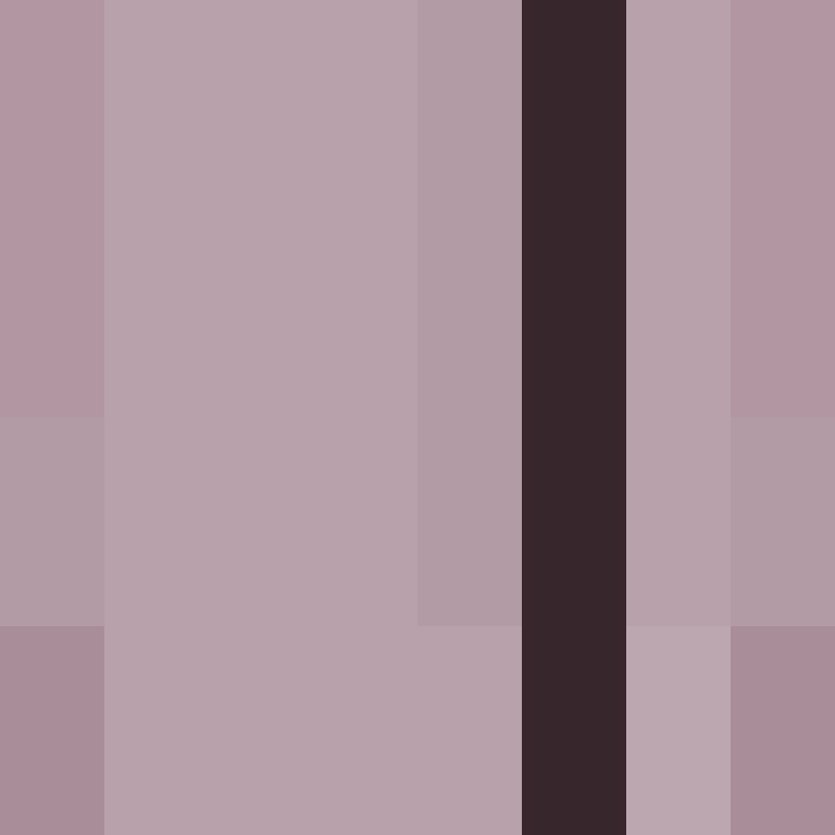 AutoSkin's skin