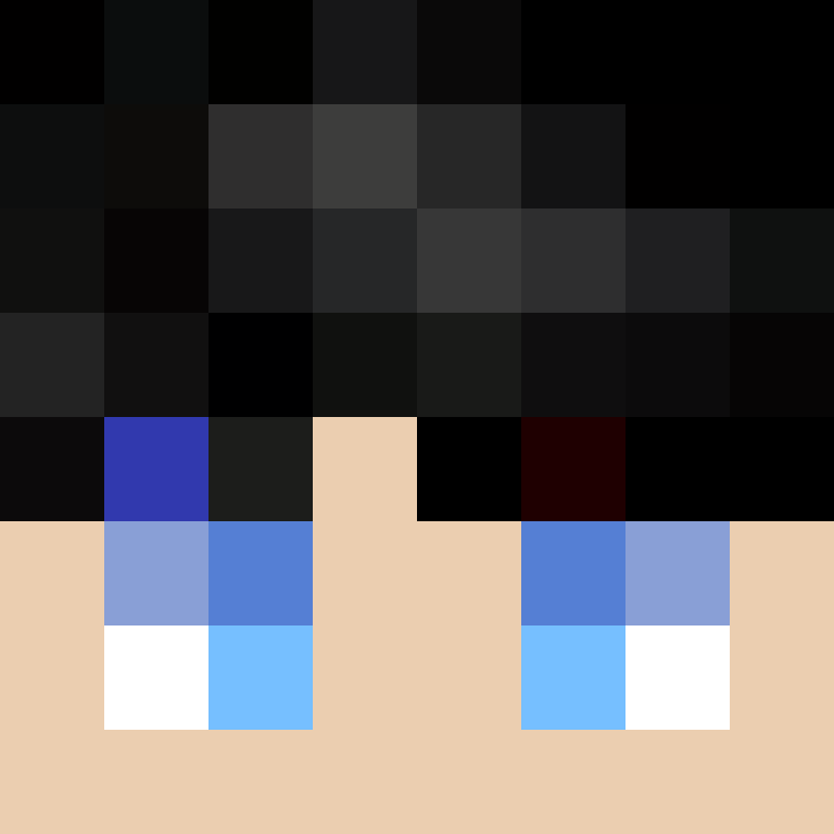 deminecrafterlol's skin