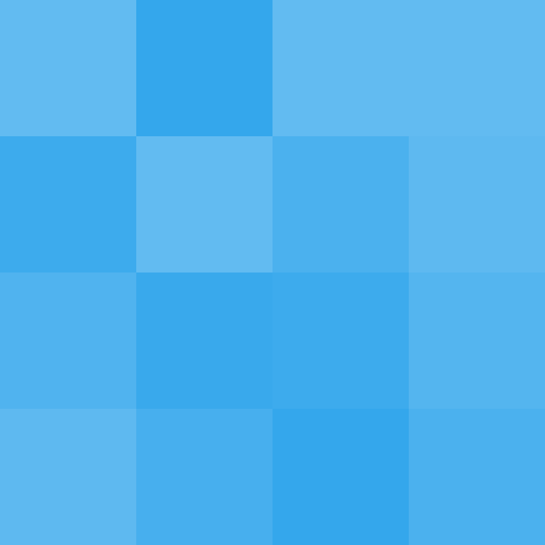 deminecrafterlol's skin