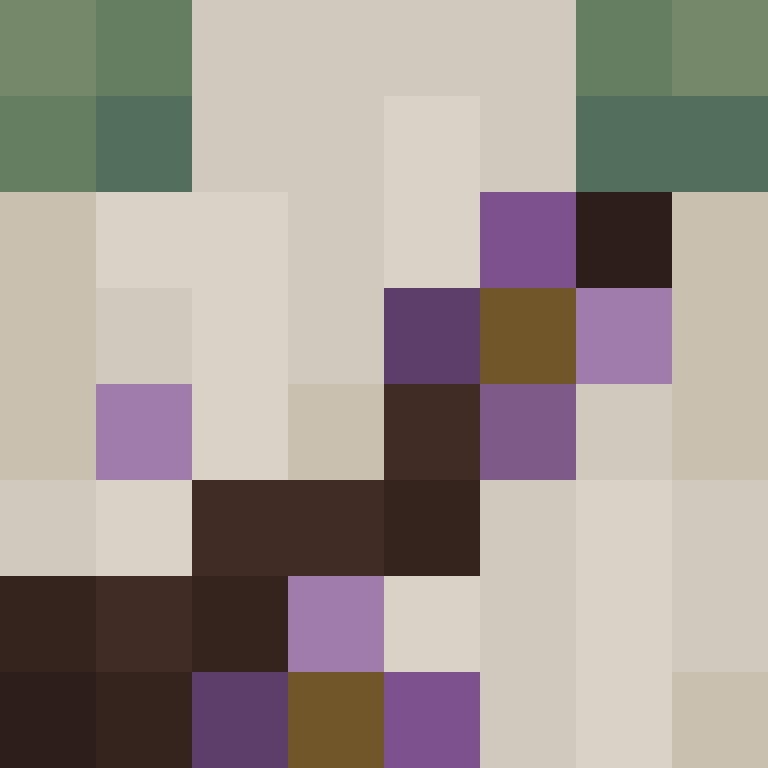 8aca680b22461340's skin