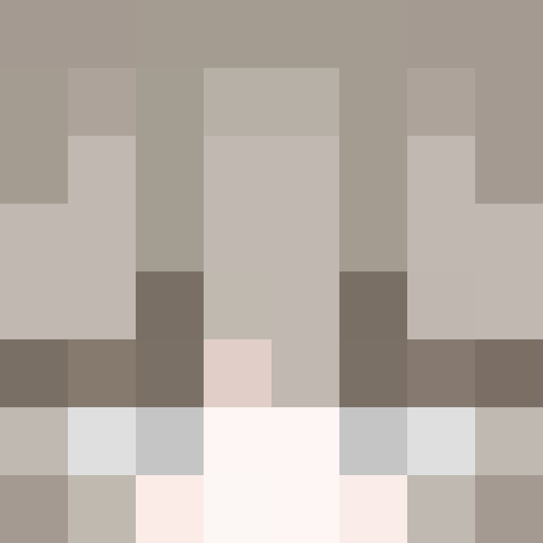 CeilingBird's skin