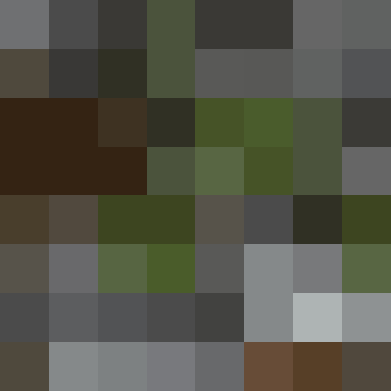 acin5's skin