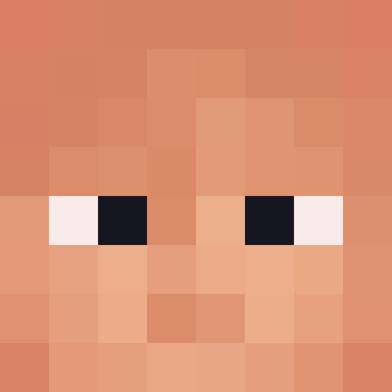 CeilingBird's skin