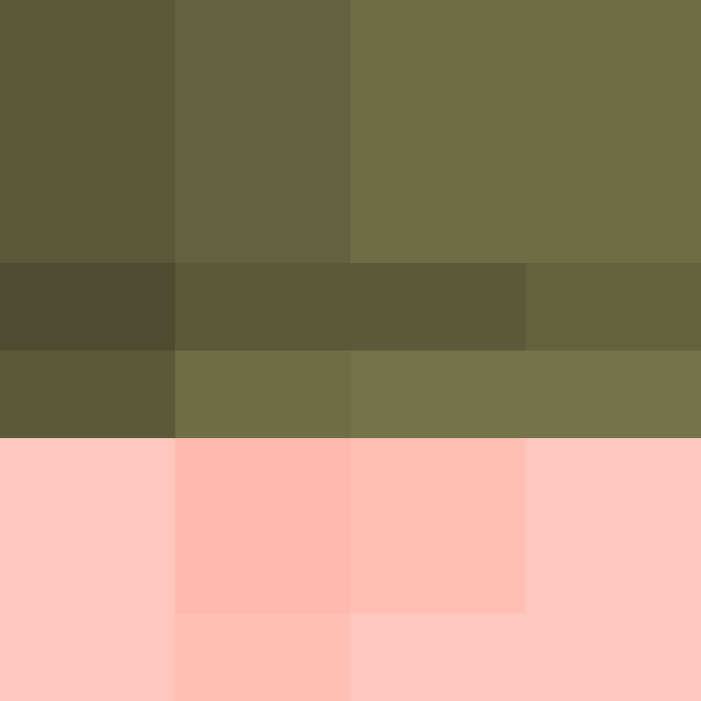 v4r1n's skin