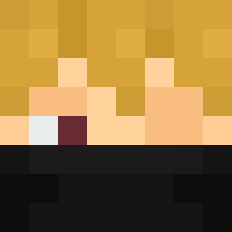xX_No_Income_Xx's skin